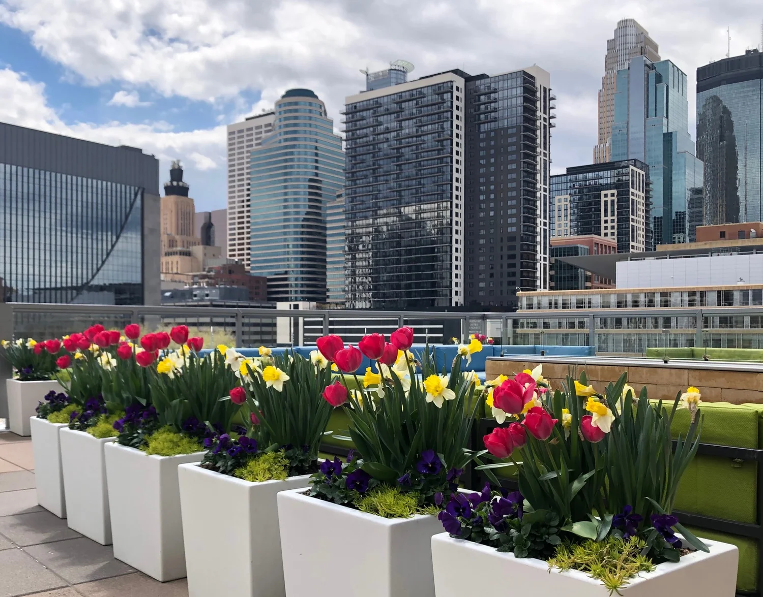 “Spring in the City”. Photograph by Angi Neu.
