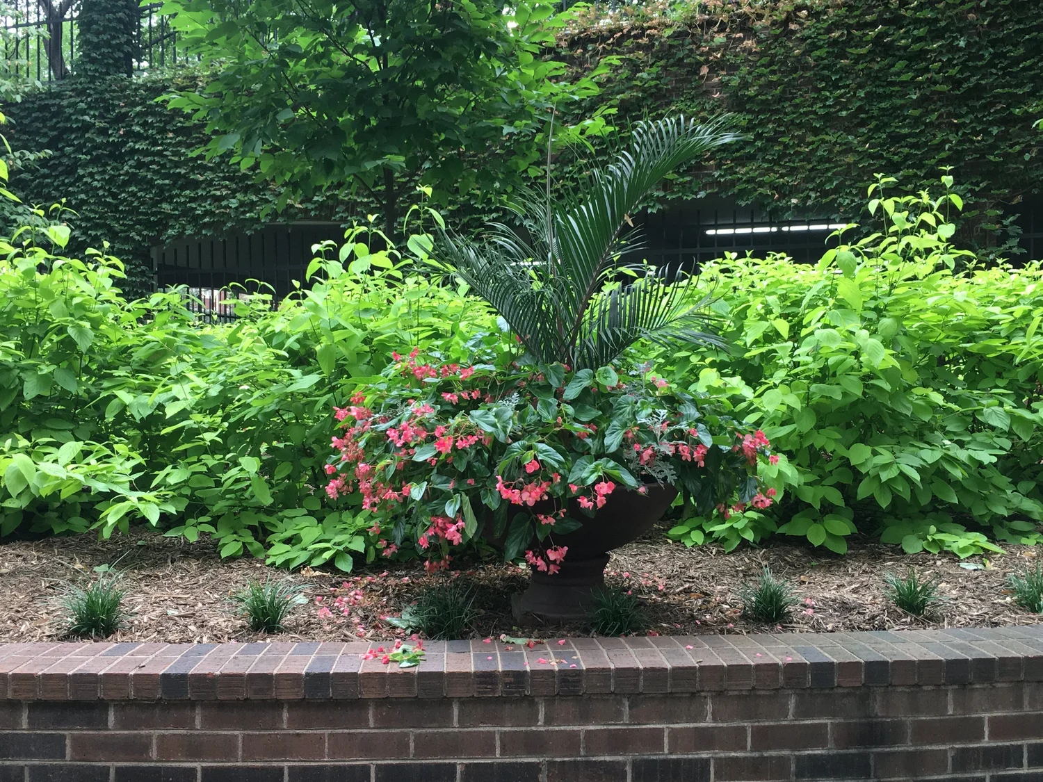 Eufloria by Prescription seasonal planting and botanical design
