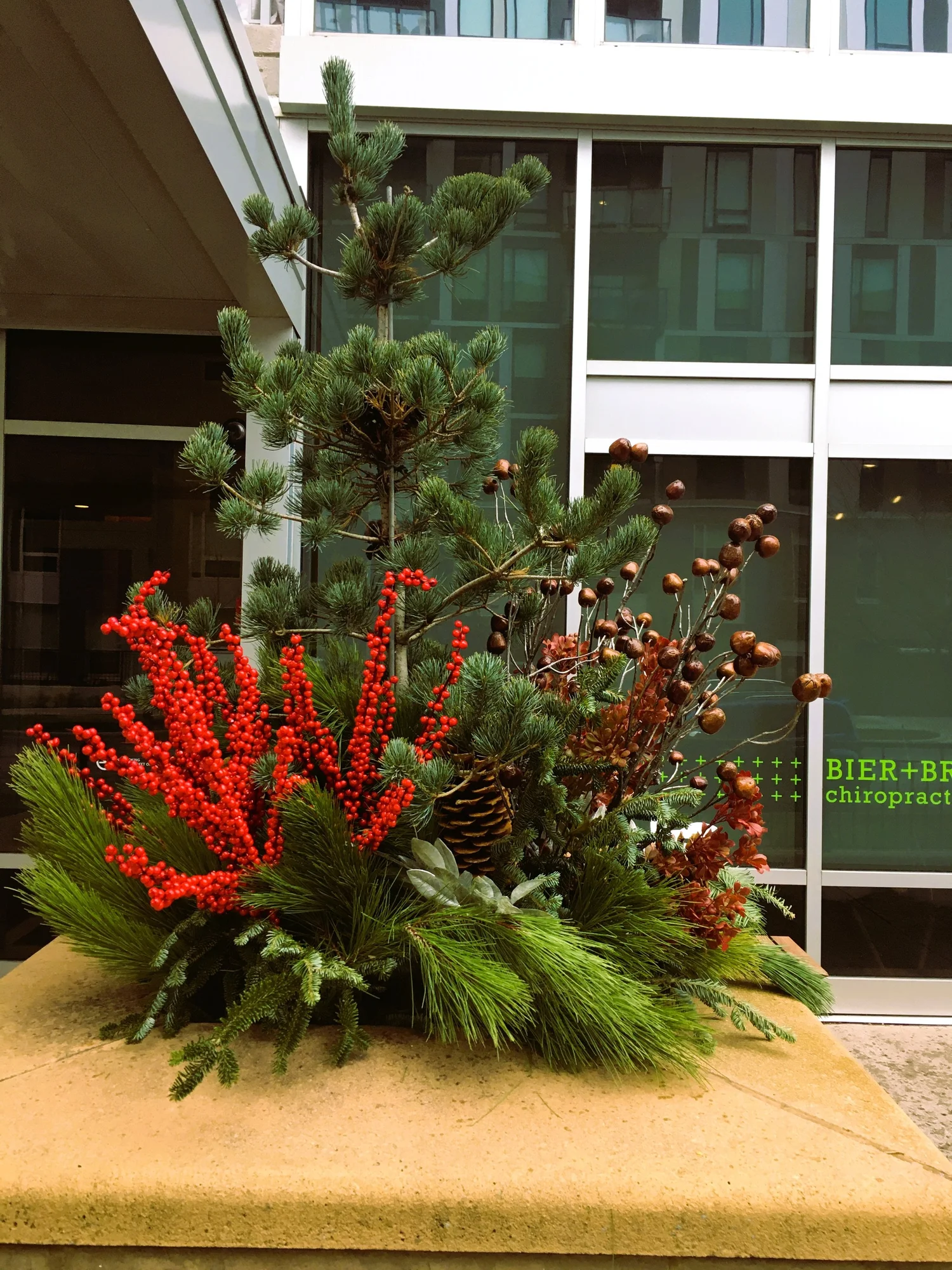 Eufloria by Prescription seasonal planting and botanical design