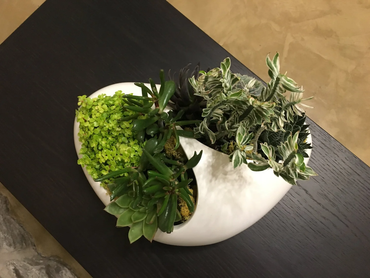 Eufloria by Prescription seasonal planting and botanical design