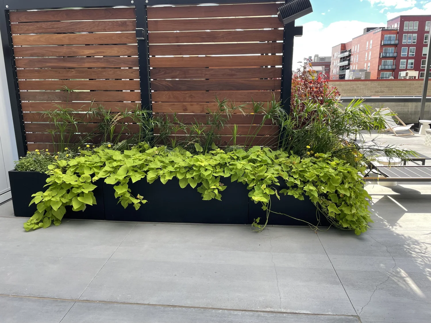 Eufloria by Prescription seasonal planting and botanical design
