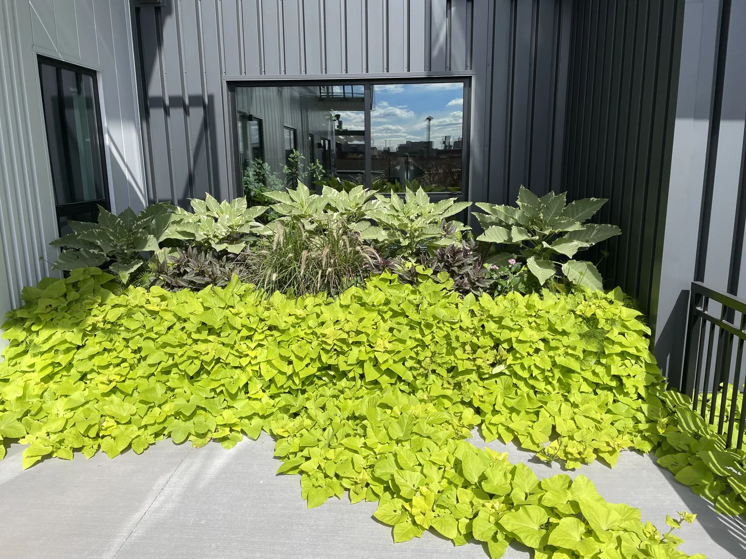Eufloria by Prescription seasonal planting and botanical design