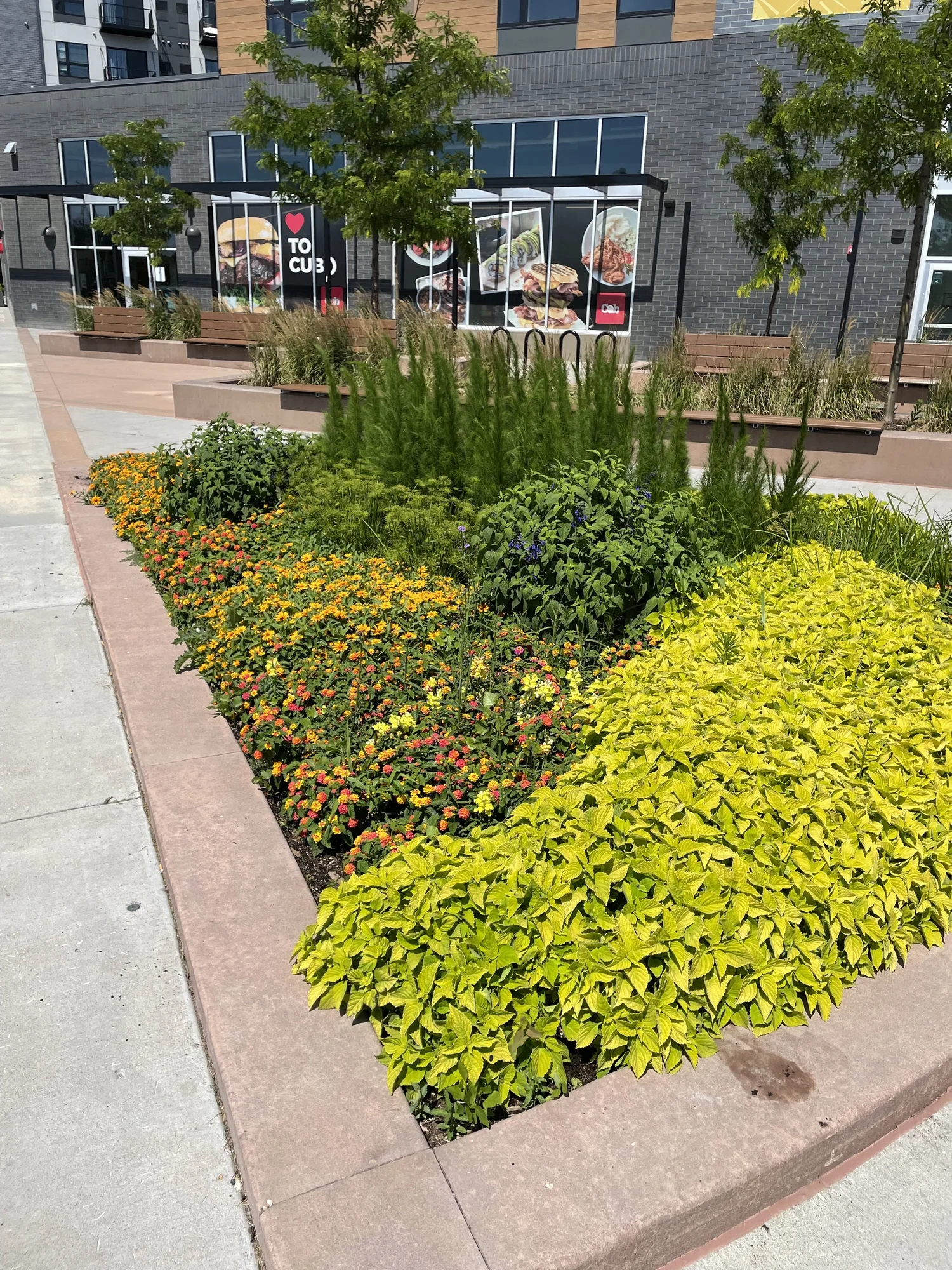 Eufloria by Prescription seasonal planting and botanical design
