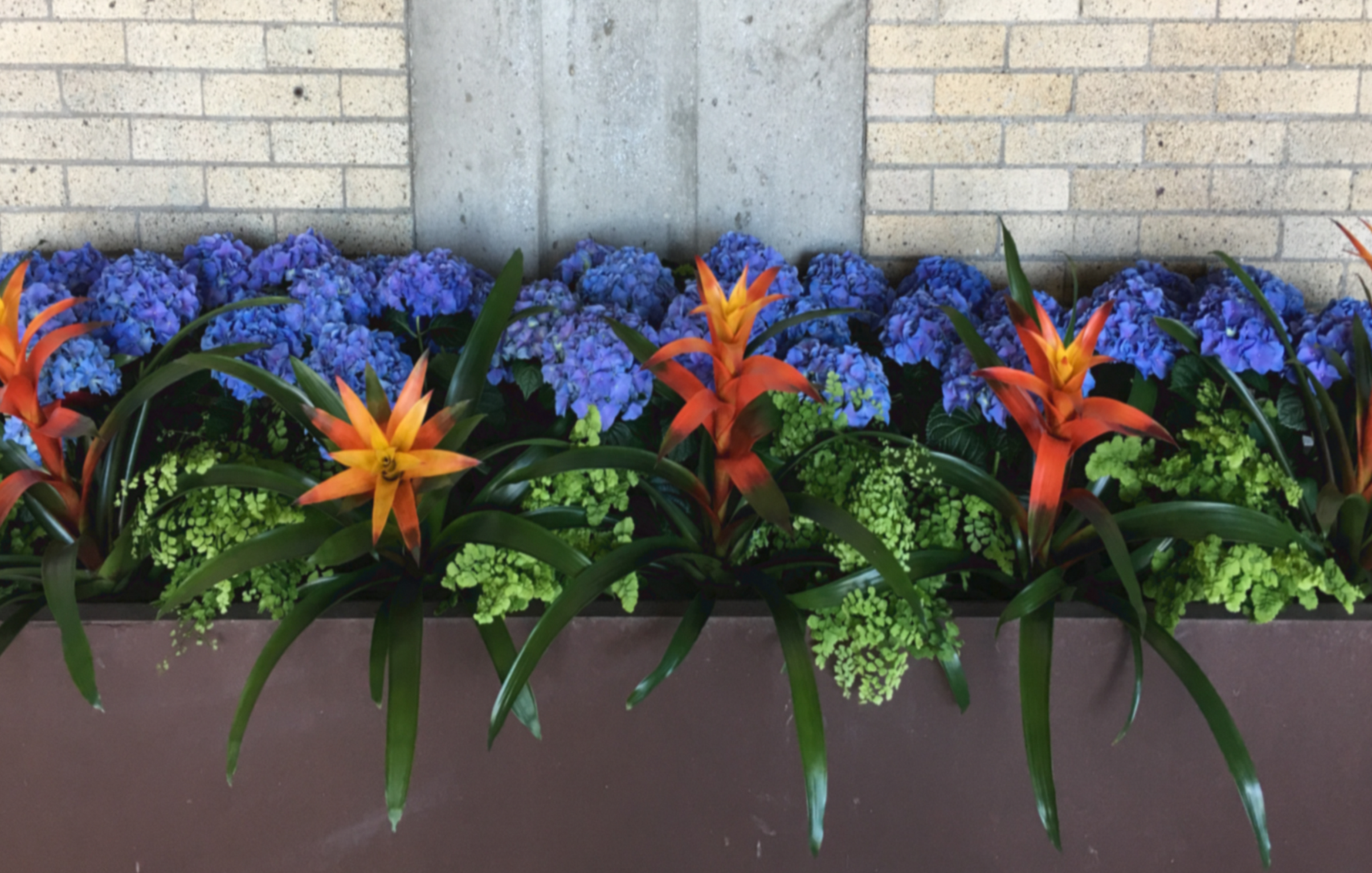 A flower bed with purple hydrangeas, orange and yellow lilies, and green foliage, set against a brick and concrete wall.