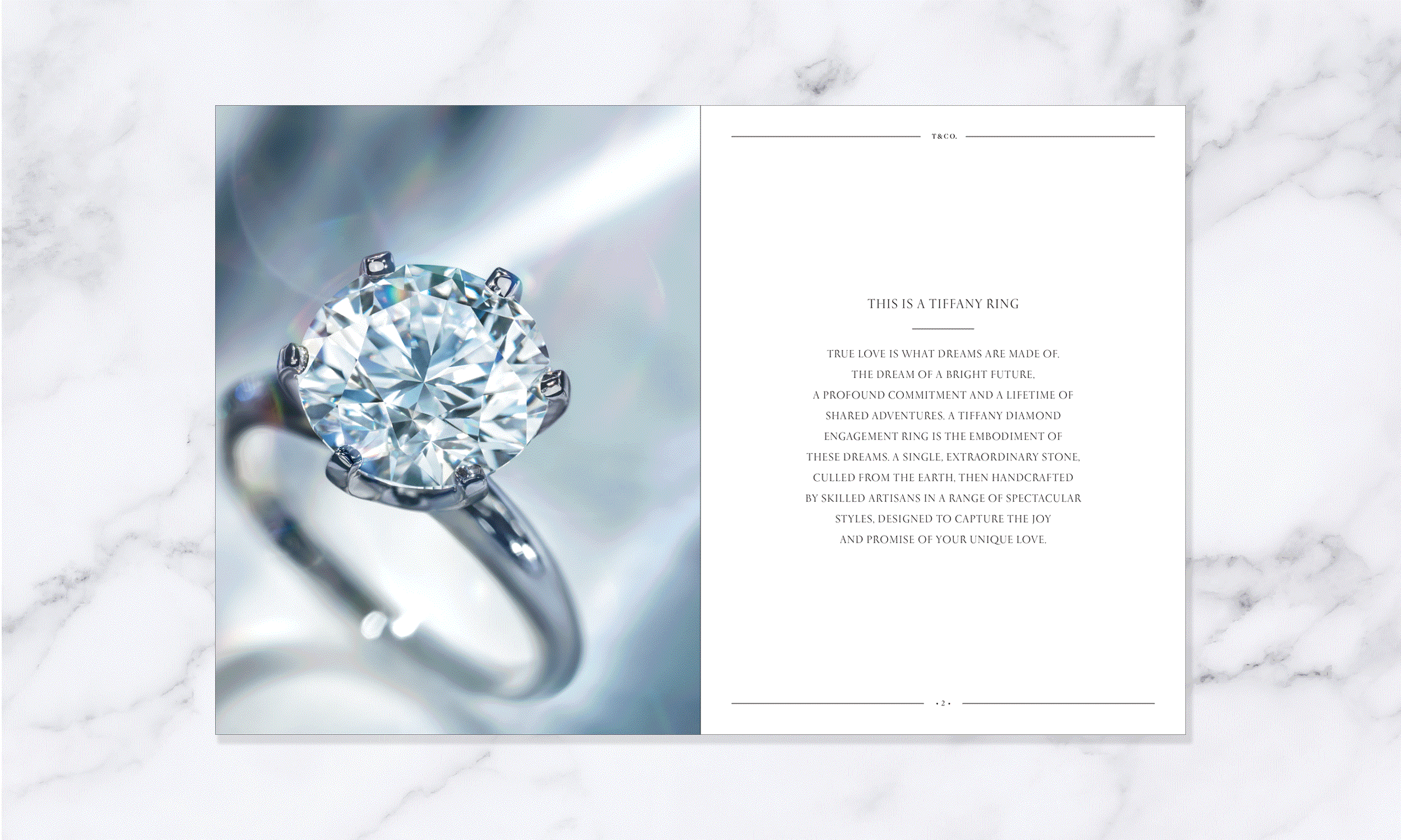 engage_book.gif