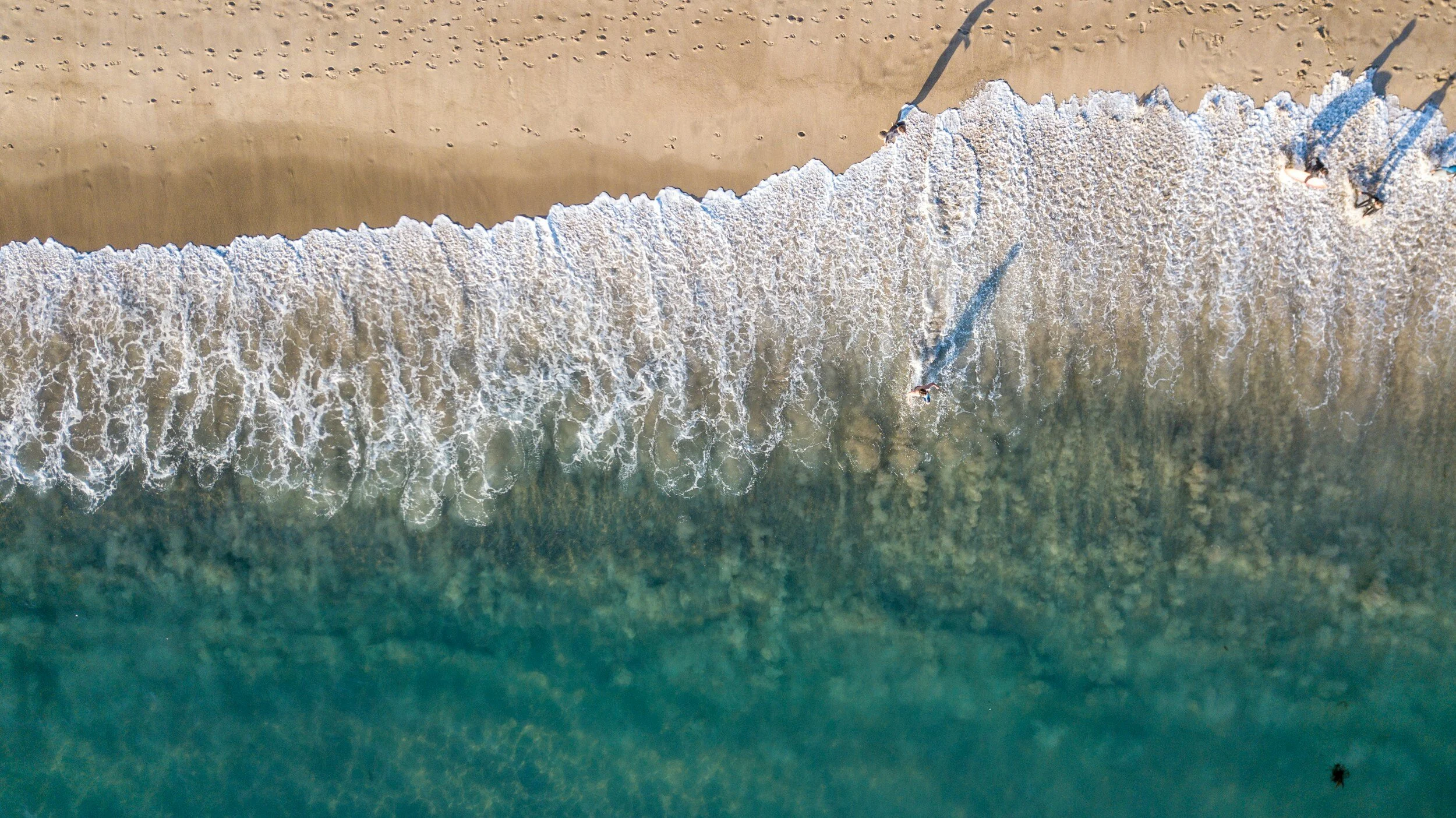 Spring 2024 Schedule