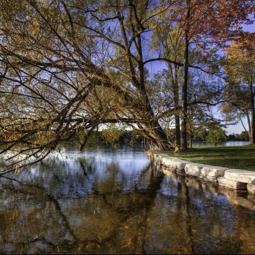 LakeOrionWall1-square.jpg