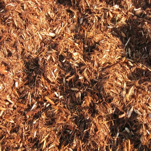 AA Cedar-square.jpg