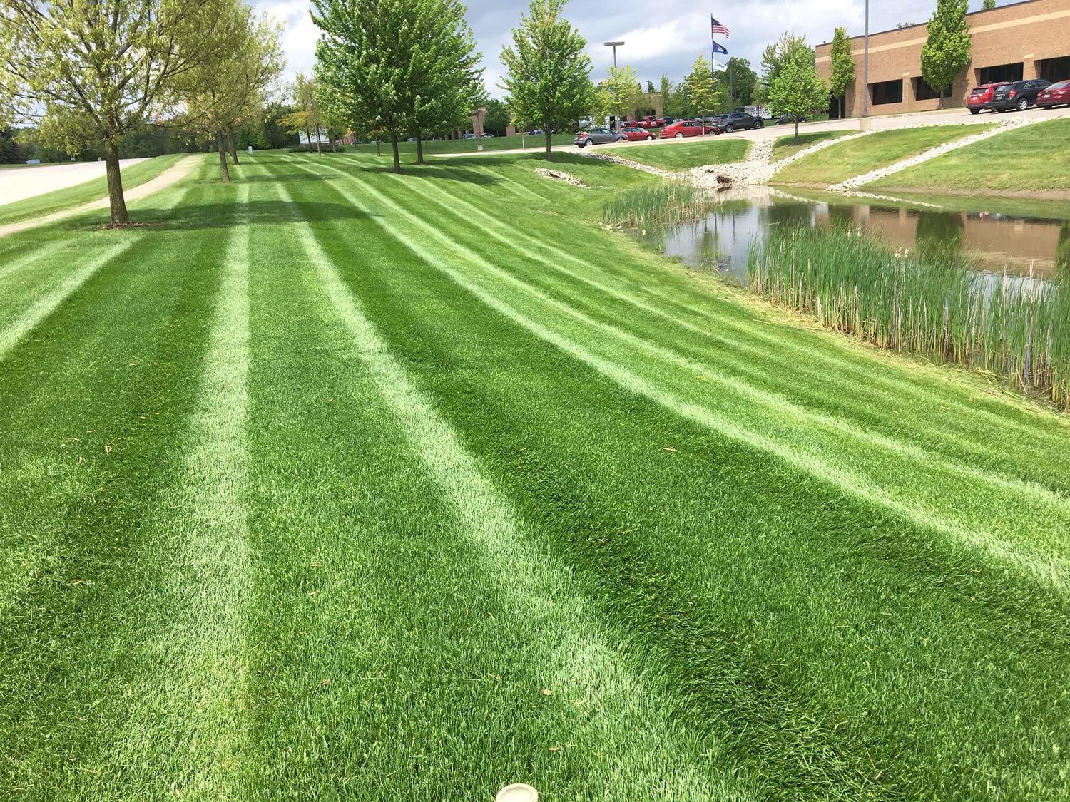 Commercial Lawn Maintenance Company Todd�s Services
