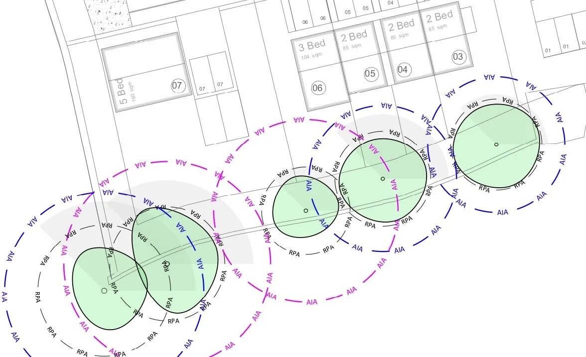 fig7 image.jpg