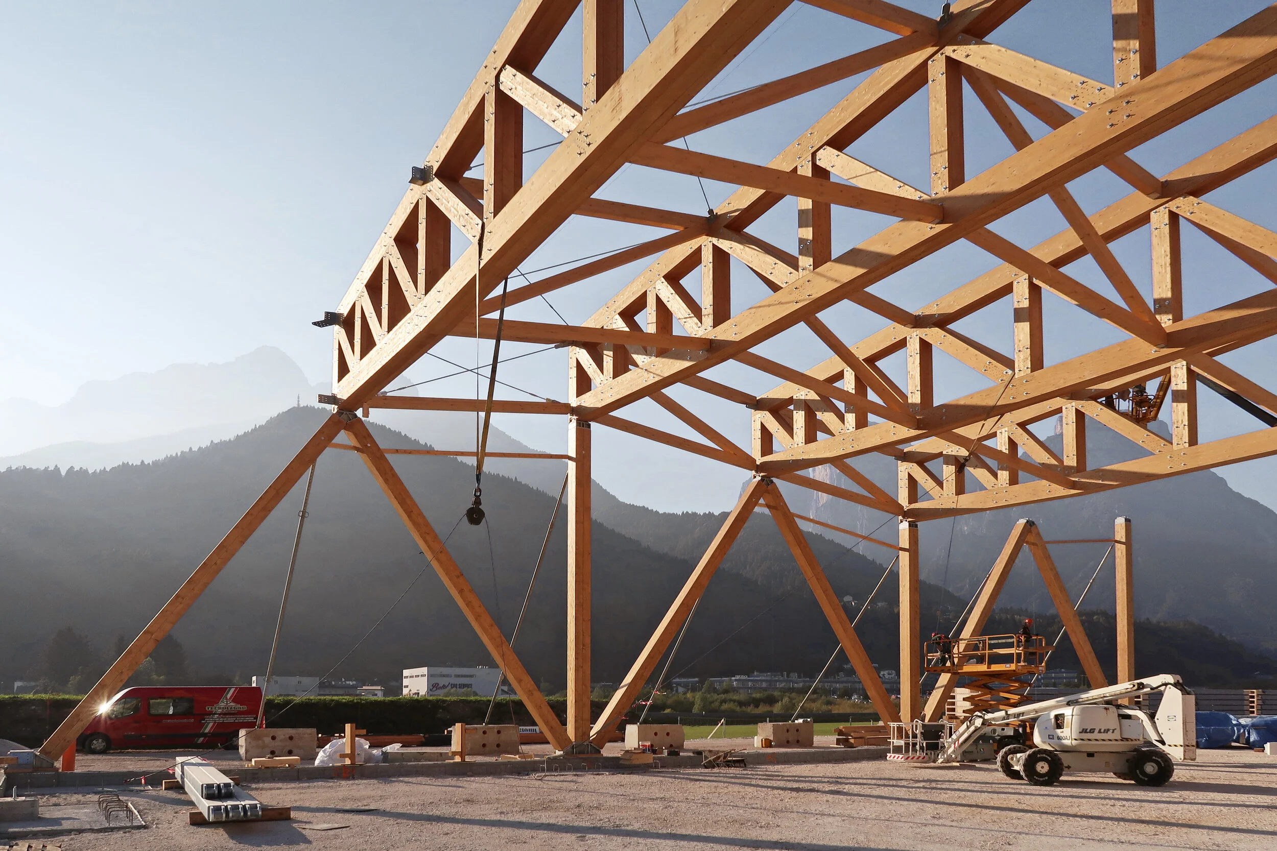 Palaxottica, lo scheletro ligneo