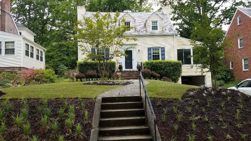 sreese front yard4.jpg