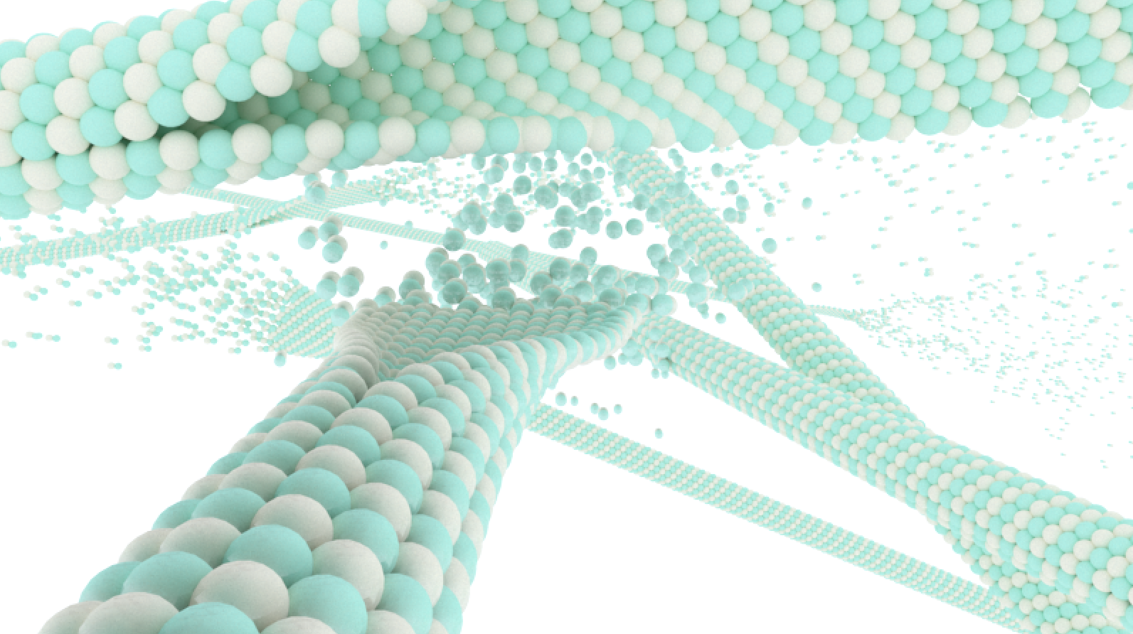 Microtubule Assembly