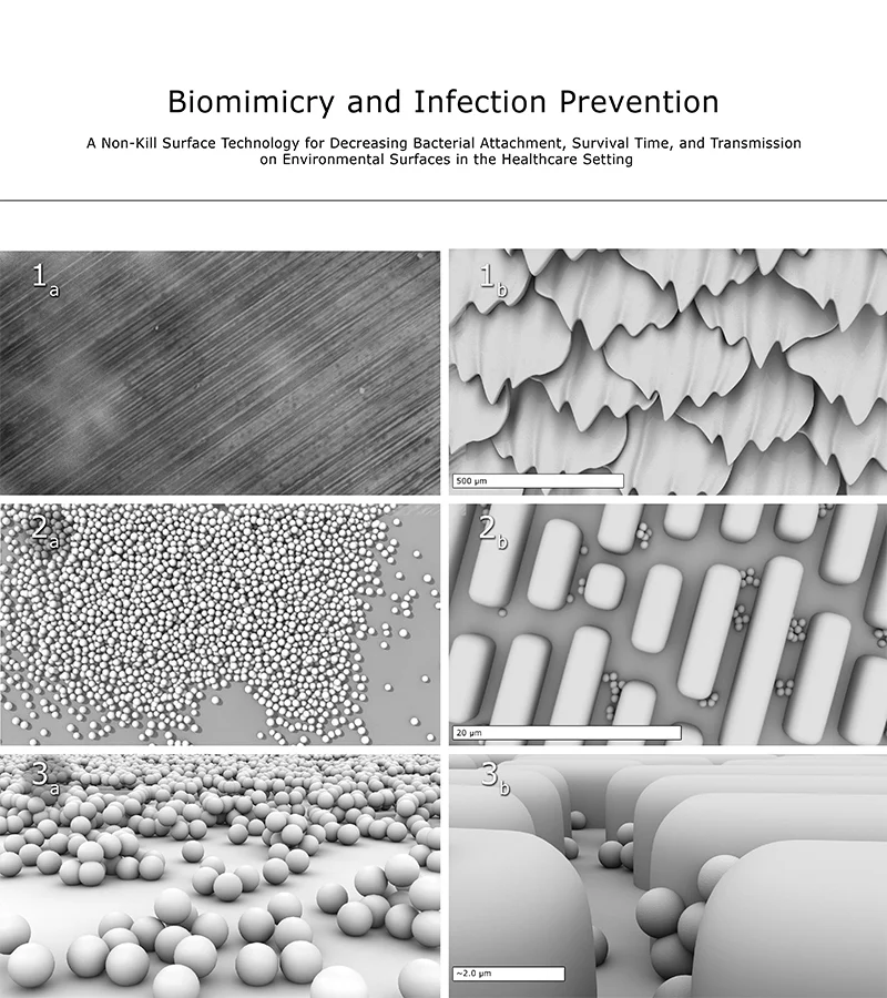 Sharklet prevents Biofouling