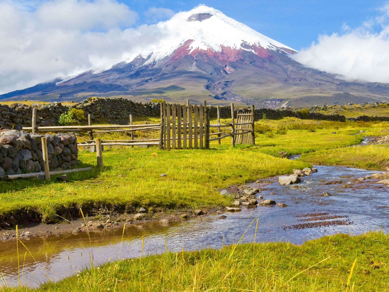 ecuador1.png
