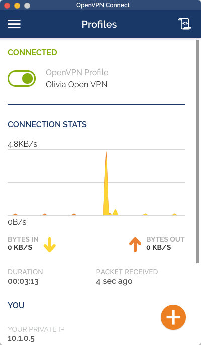 Olivia OpenVPN connected.png
