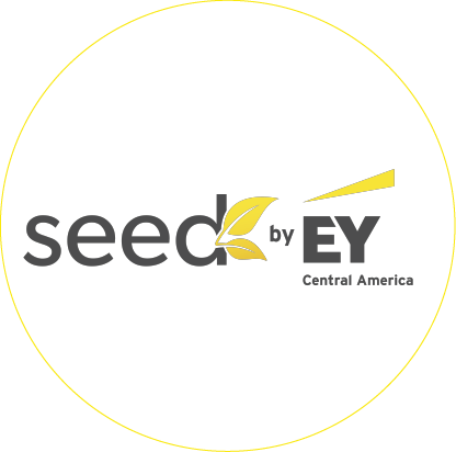 iconos servicios seed-21.png