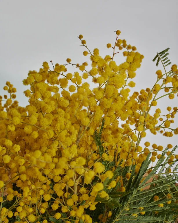 RUTH AKELE EDITO5802.jpg