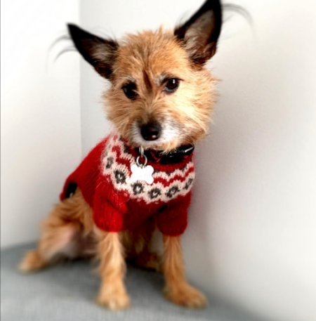 Olive in Fair Isle: lots of fitting clues here