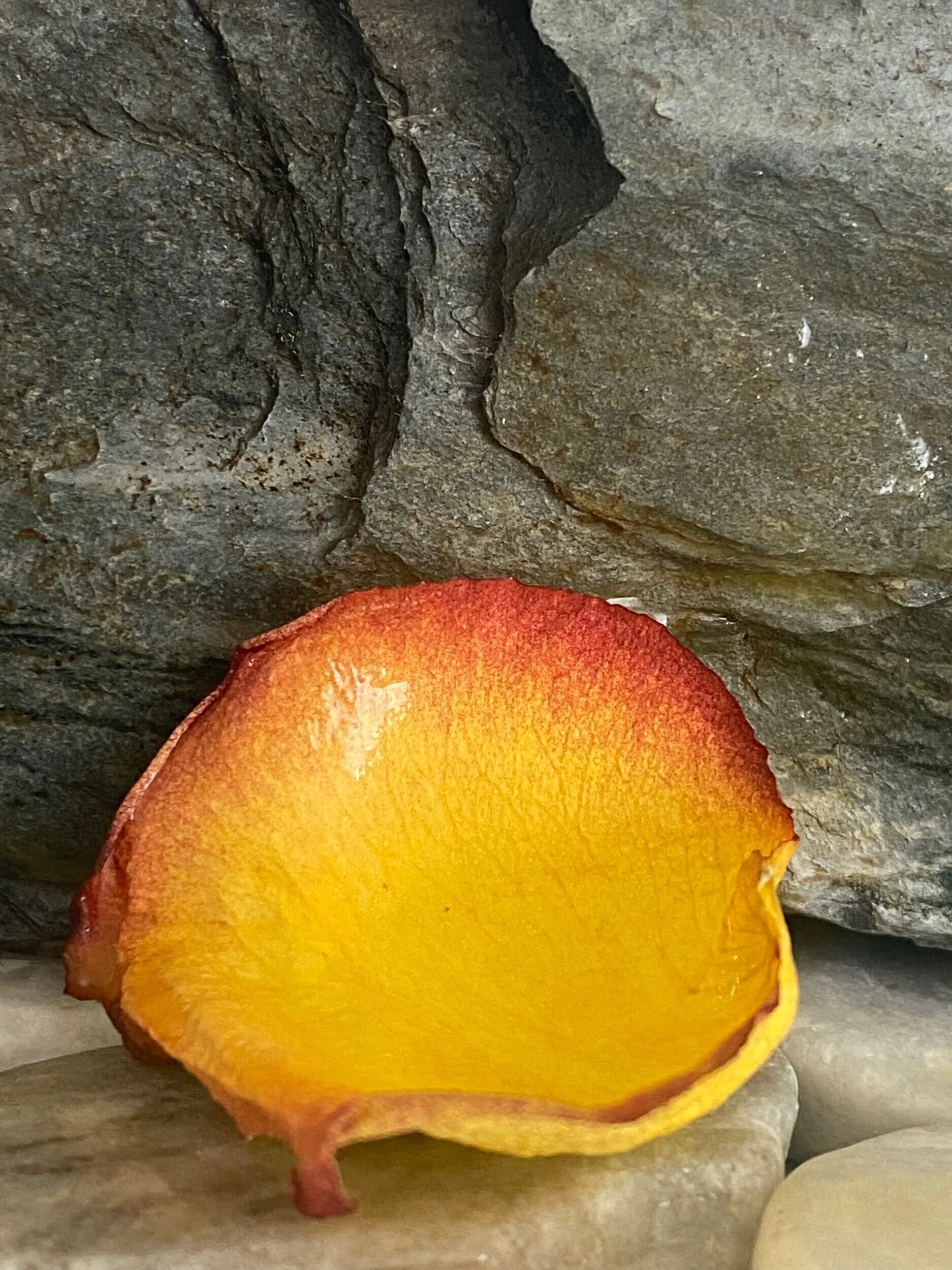 9A5AAFAB-952B-4230-8BEF-13B100FAF0DD