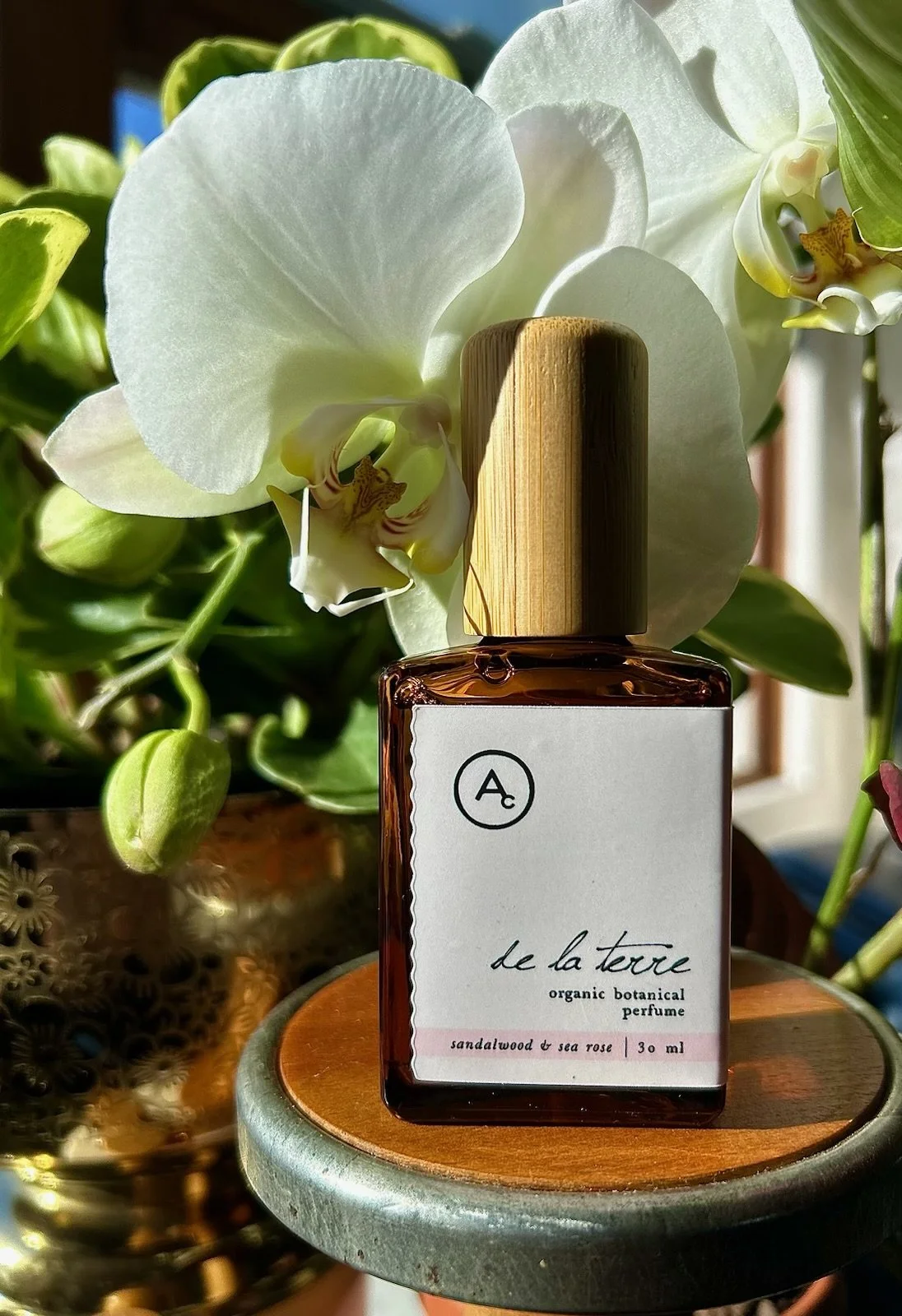 sandalwood & sea rose perfume