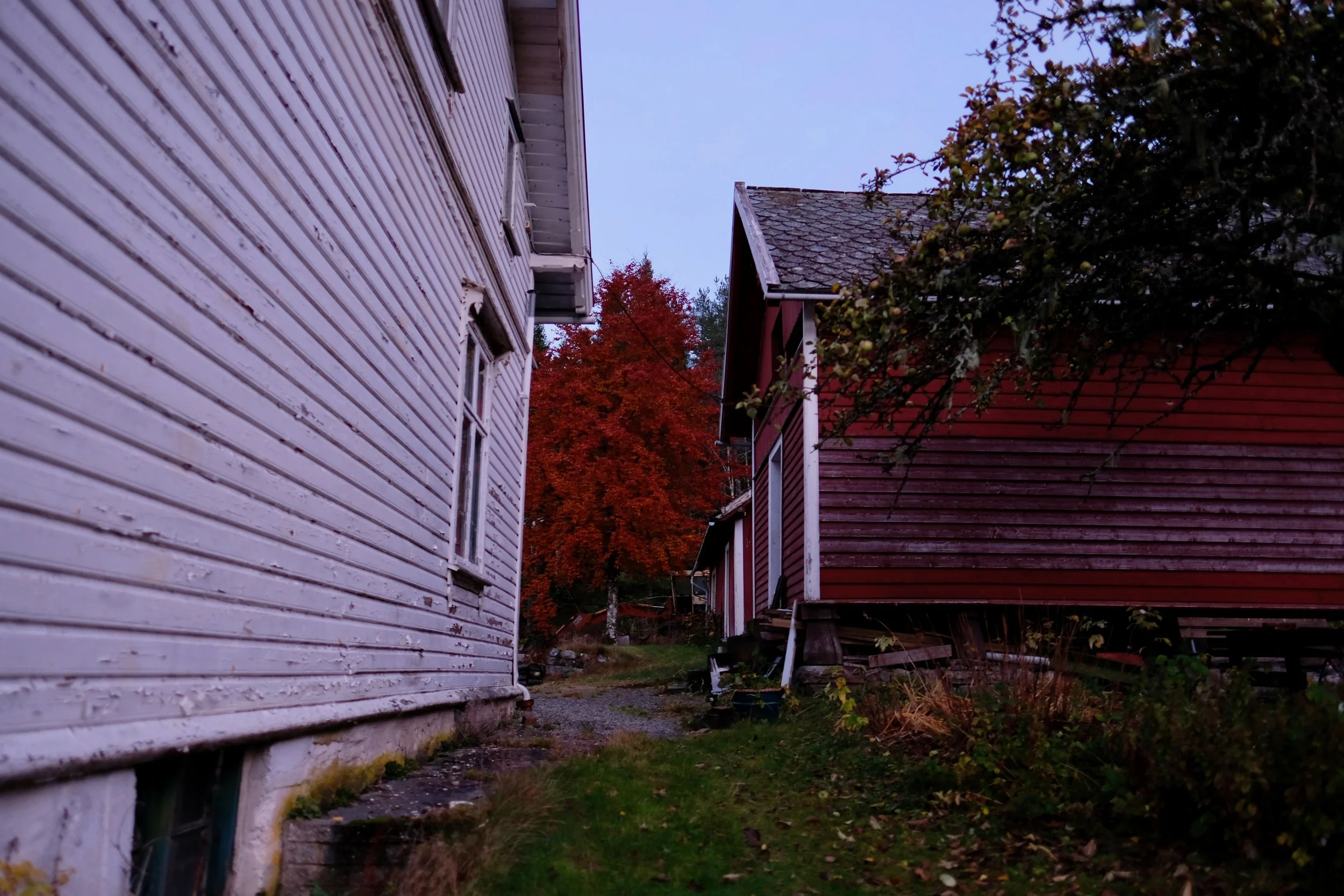 DSCF3053.jpeg