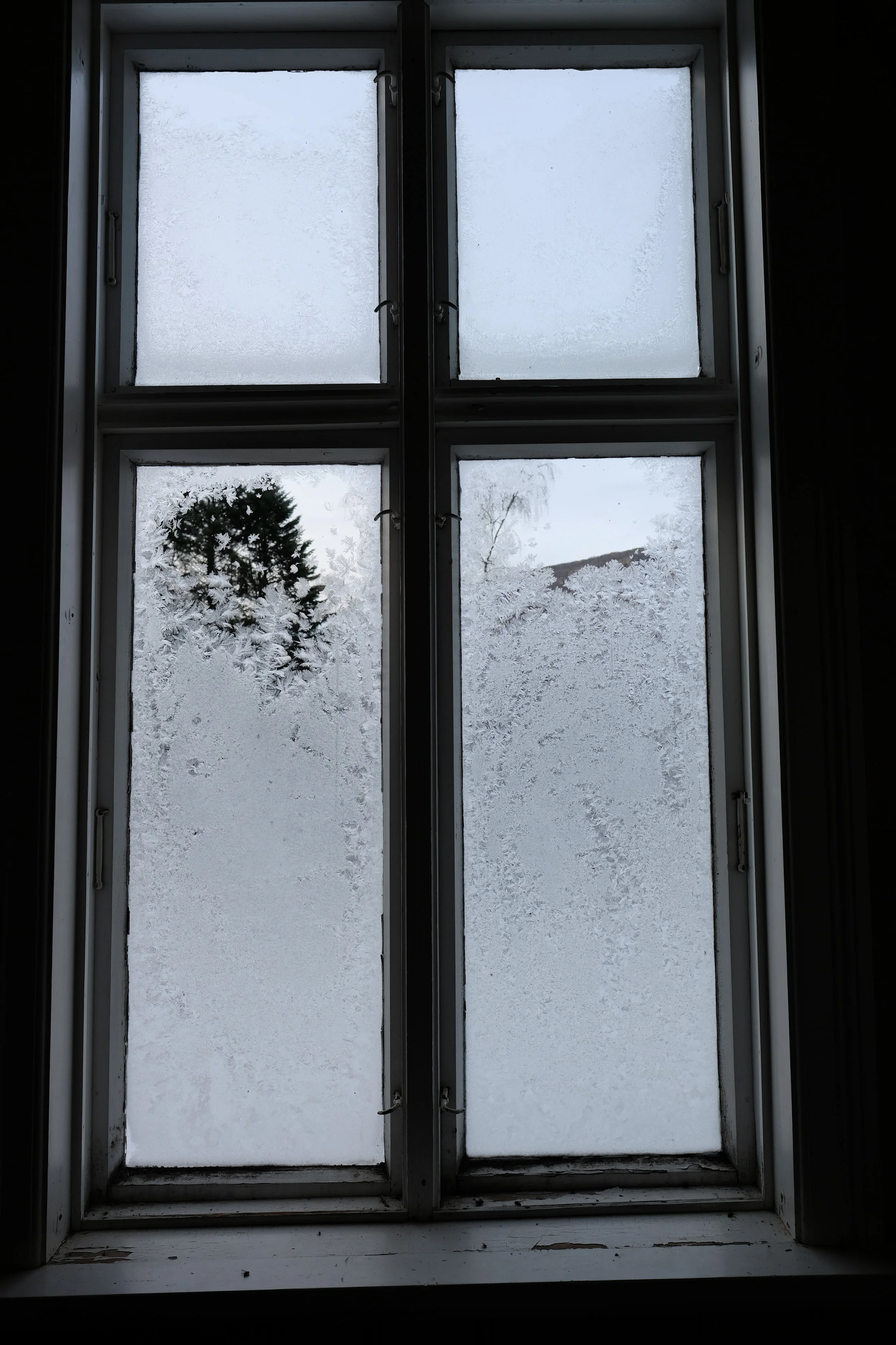 DSCF3613.jpg