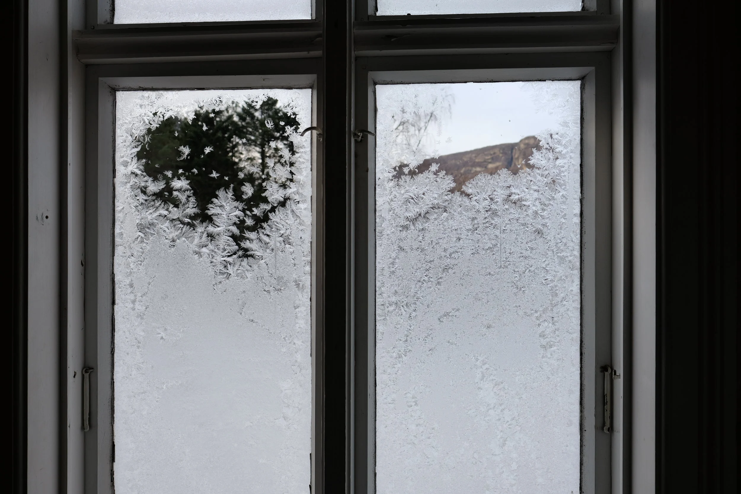 DSCF3611.jpg