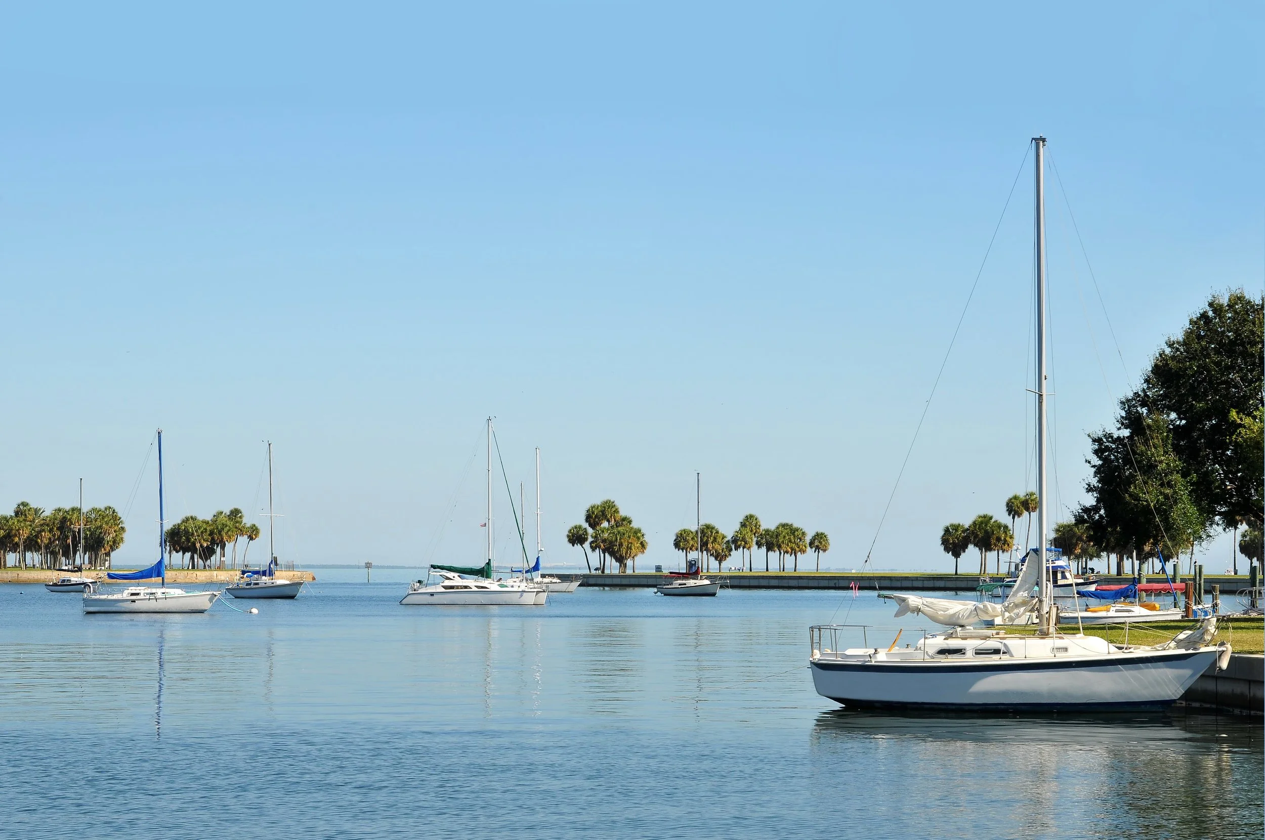 St. Pete Health Coach.jpeg