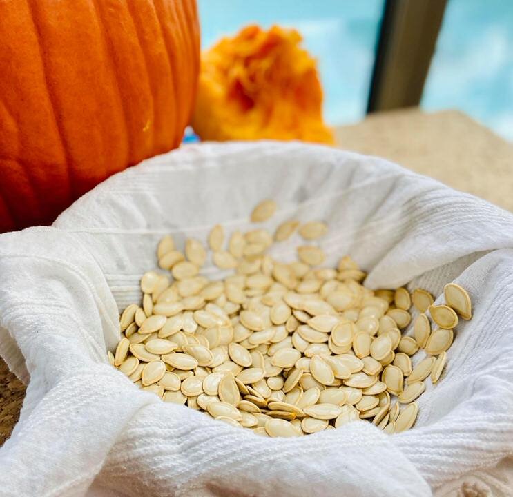 pumpkin seeds.jpg