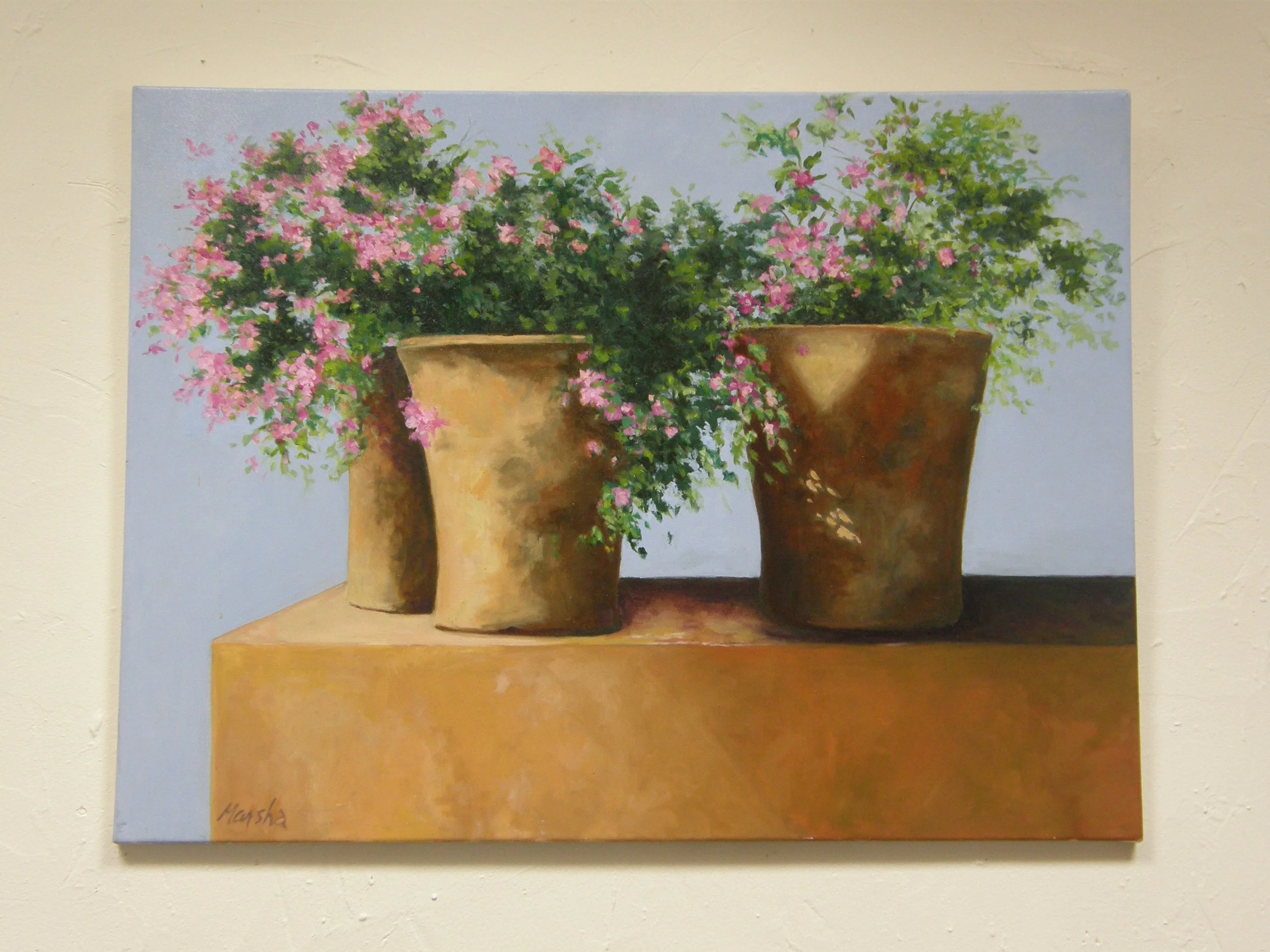 mexican pots.jpg