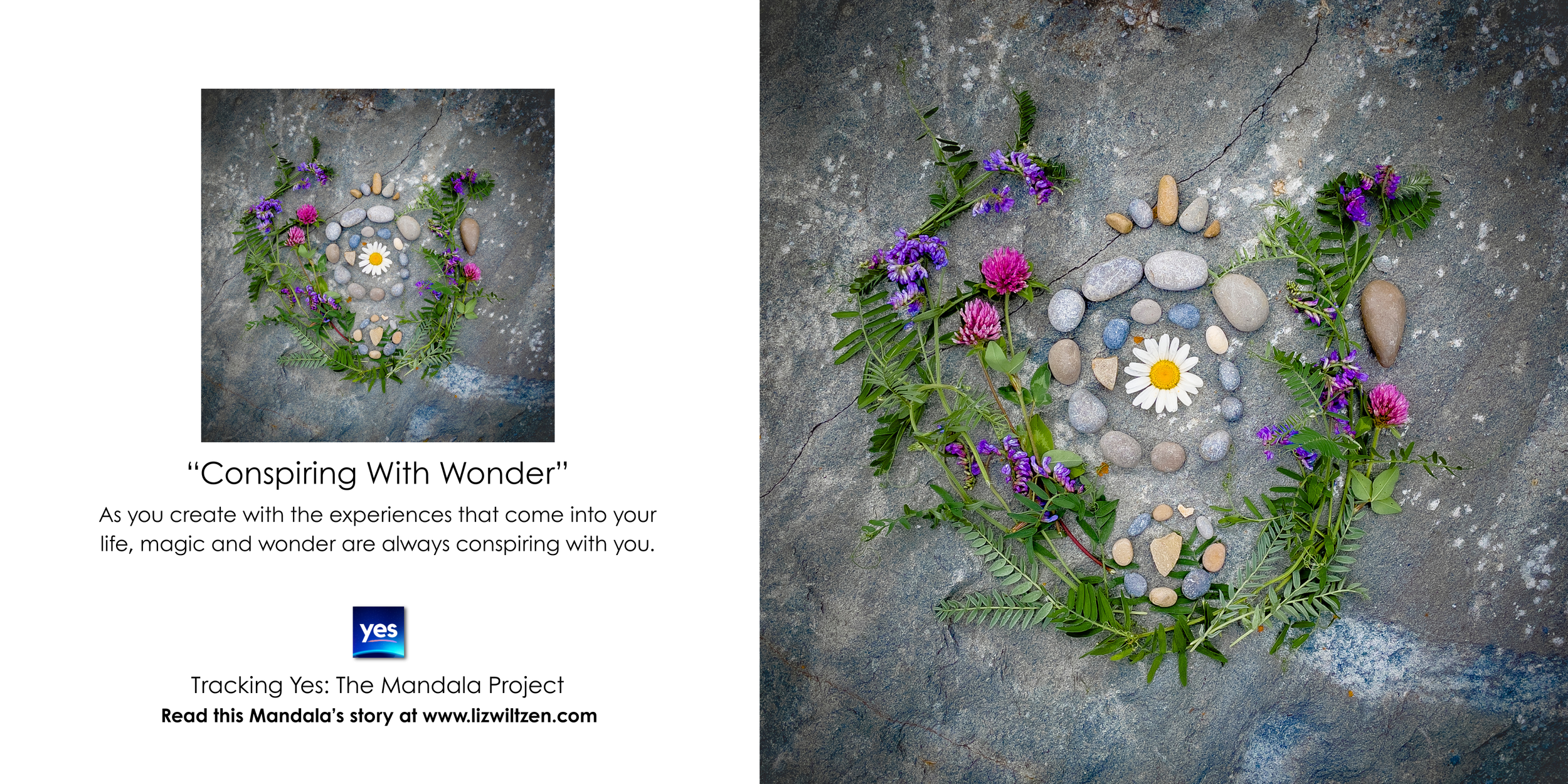 Conspiring With Wonder.png