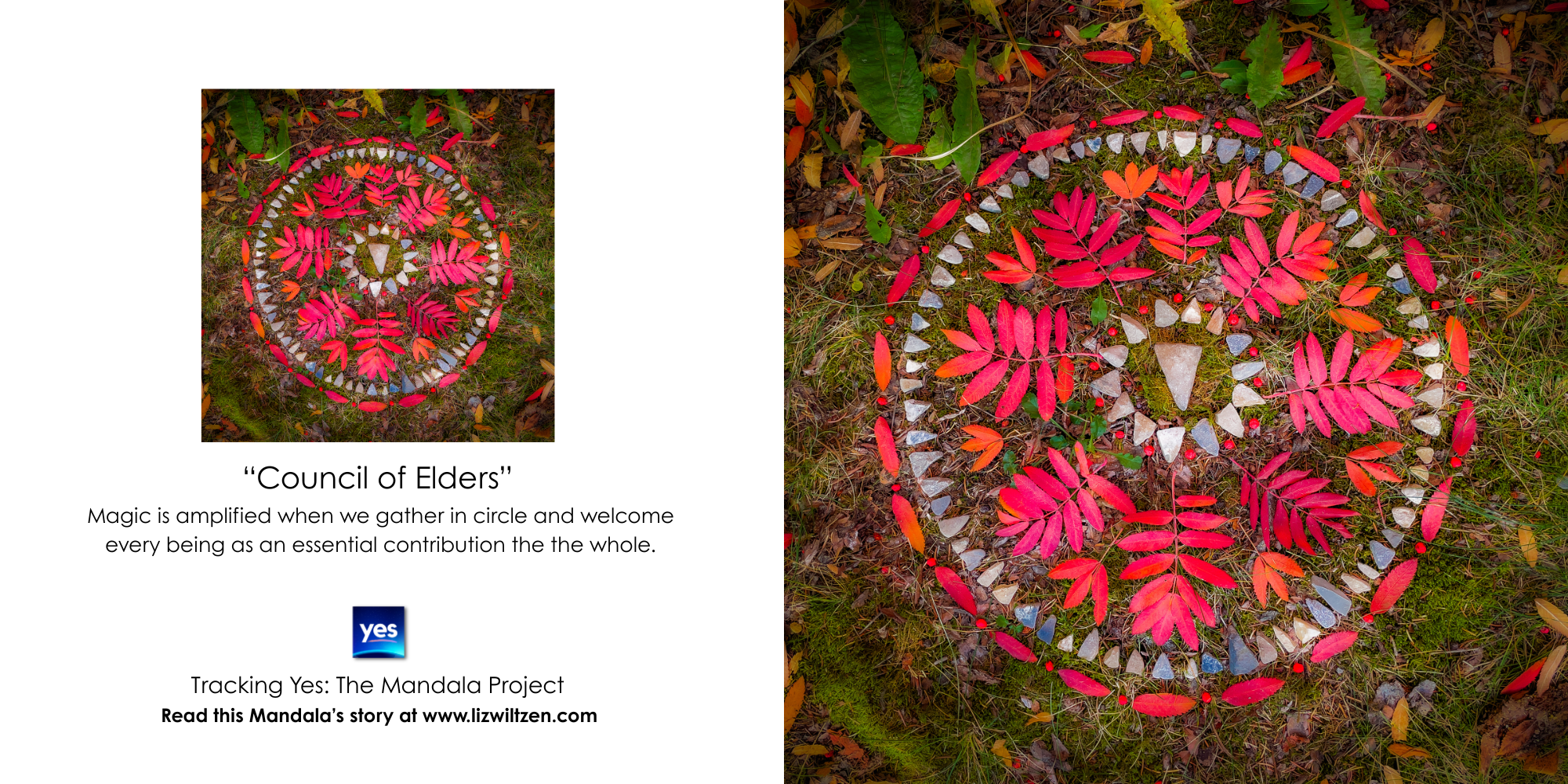 Council of Elders.png