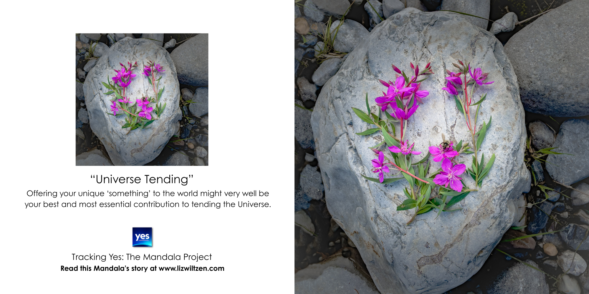 Universe Tending.png