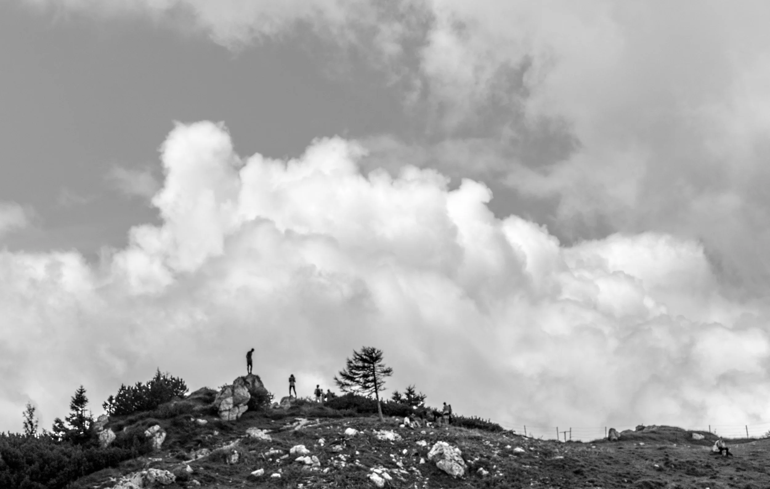 _DSC1333.jpg