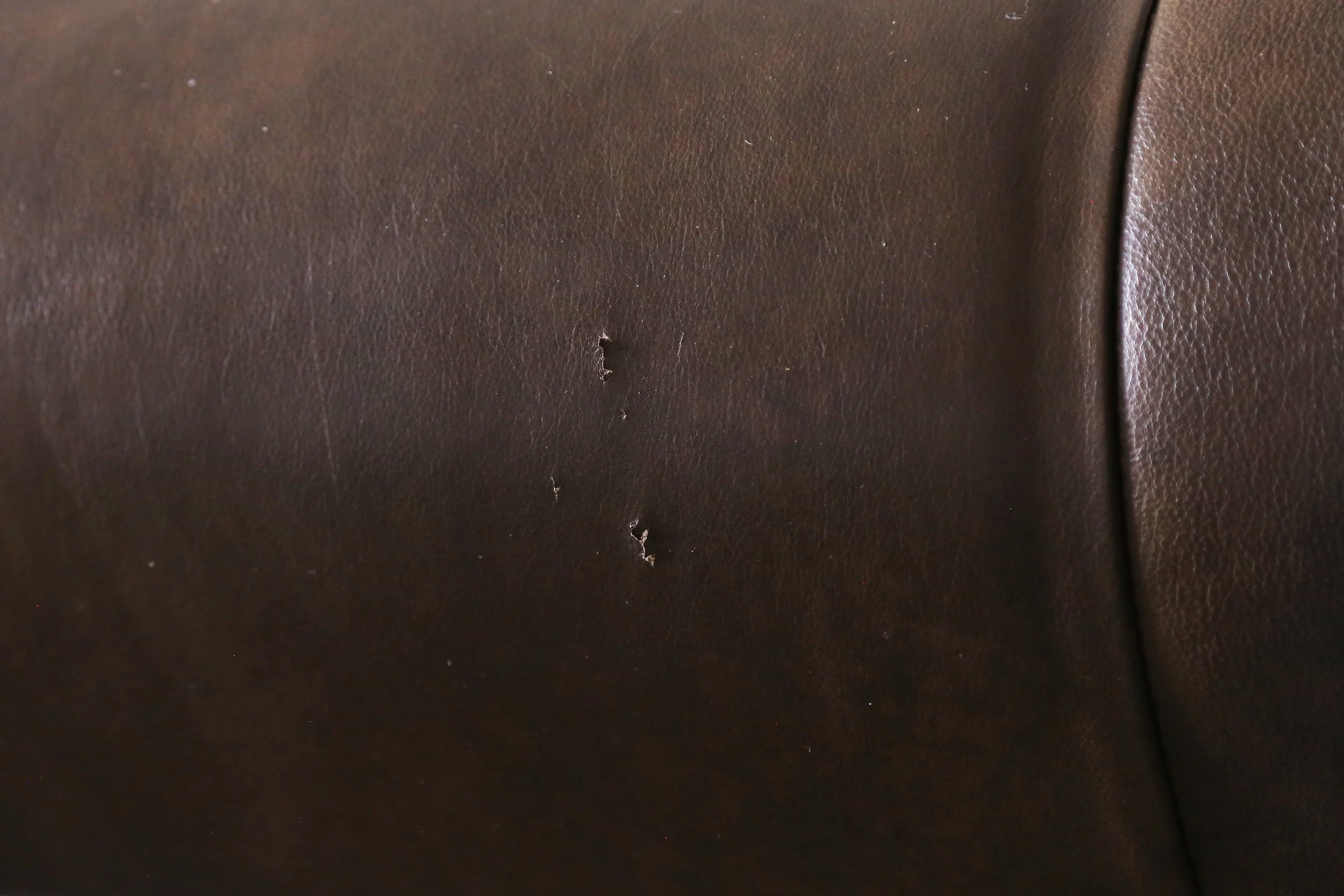 144A8761.jpg