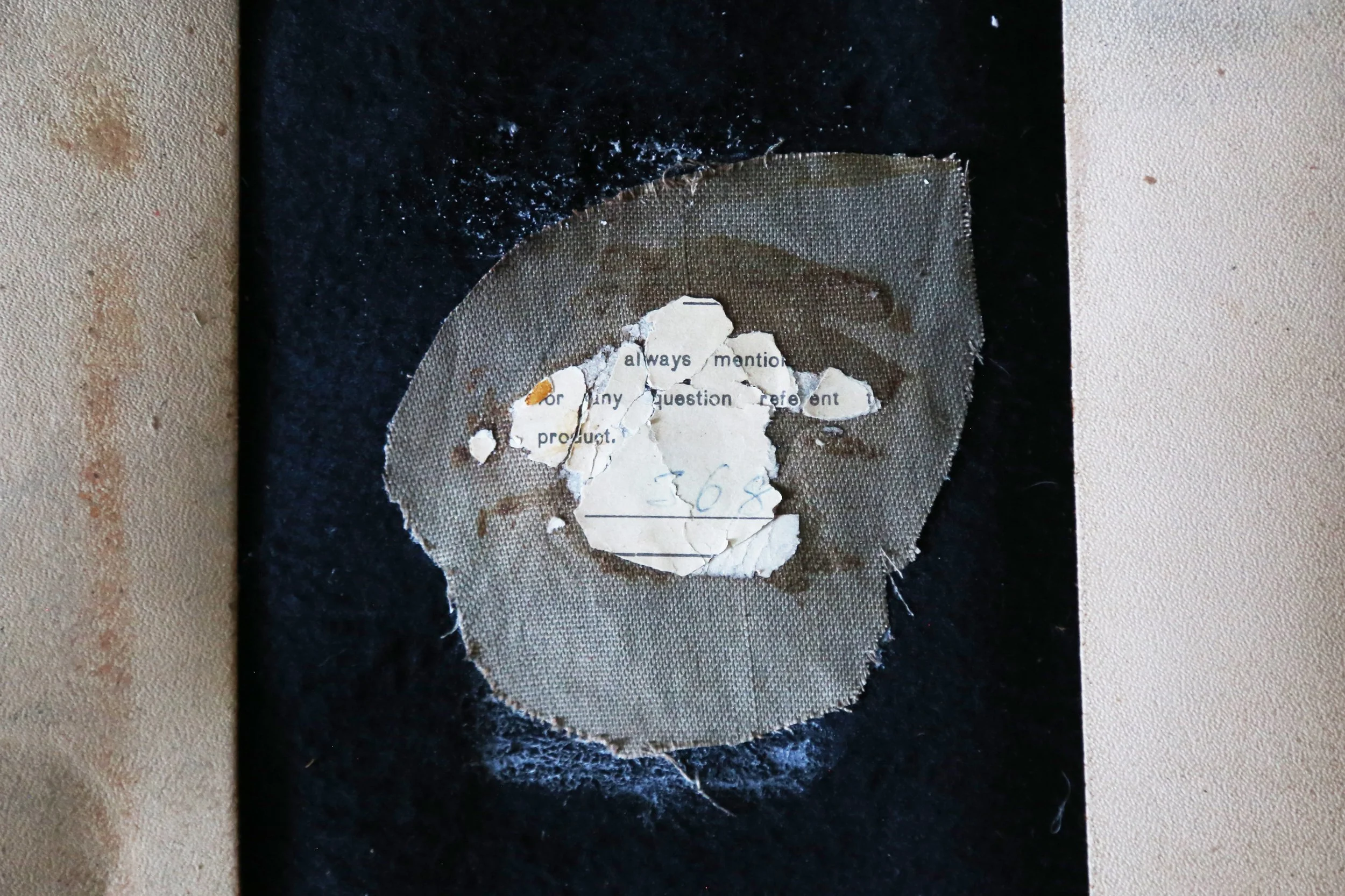 144A9115.jpg