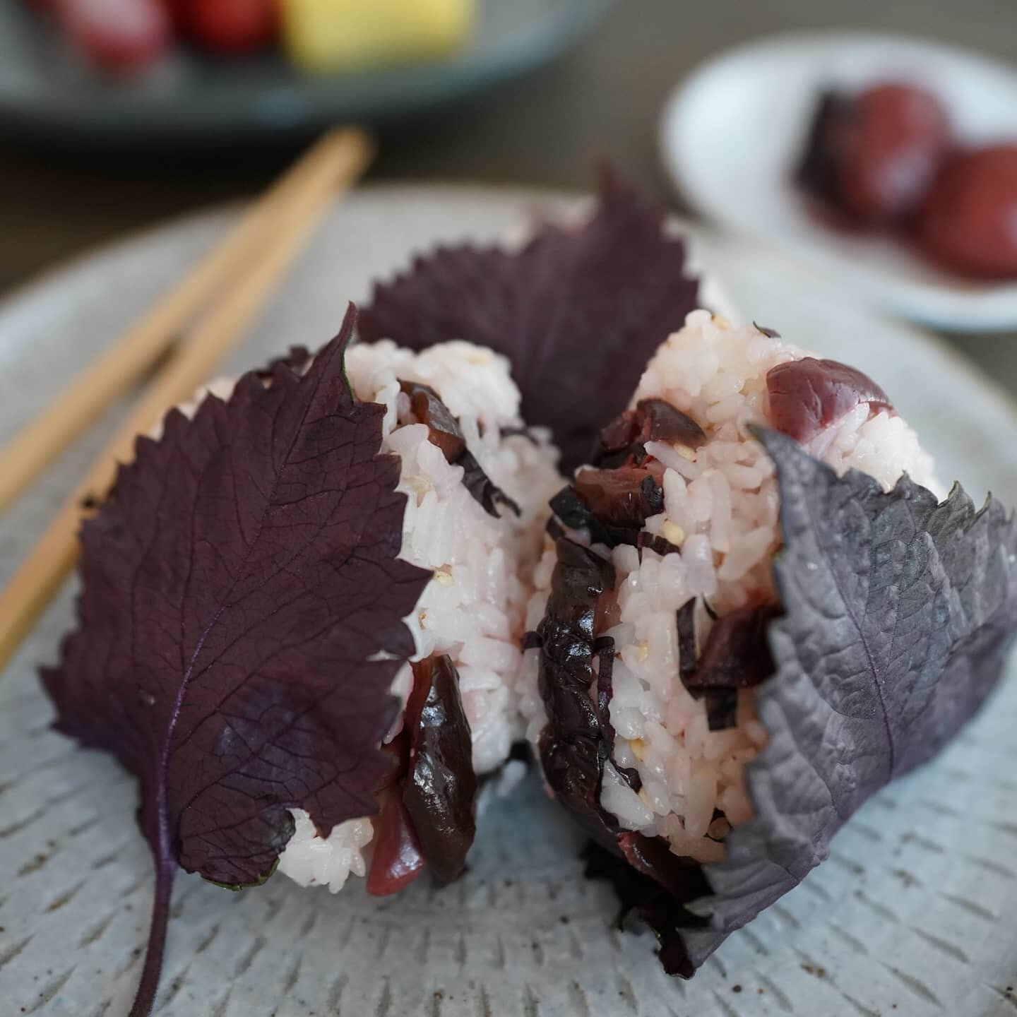 Shibazuke is a traditional Kyoto-style pickle made by pickling eggplant, cucumber, and red shiso in salt and fermenting them with lactic acid.⁠
This is my kids' favorite pickle, and in the mornings when I am short on time, I mix it with rice to make 