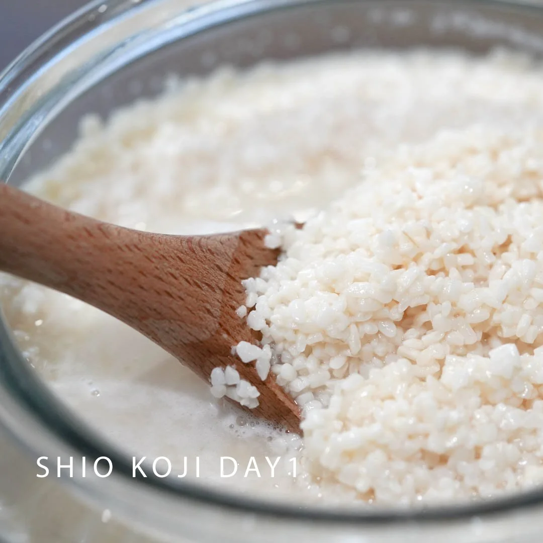 塩麹Day1.jpg