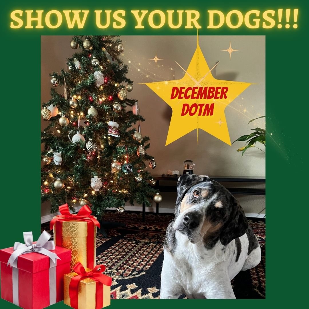 It's time for Dog of the Month submissions for December! Comment on Facebook with a picture and a quick description of your dog. We can't wait to learn about your dogs and to see their adorable faces. The dog with the highest number of reactions to t