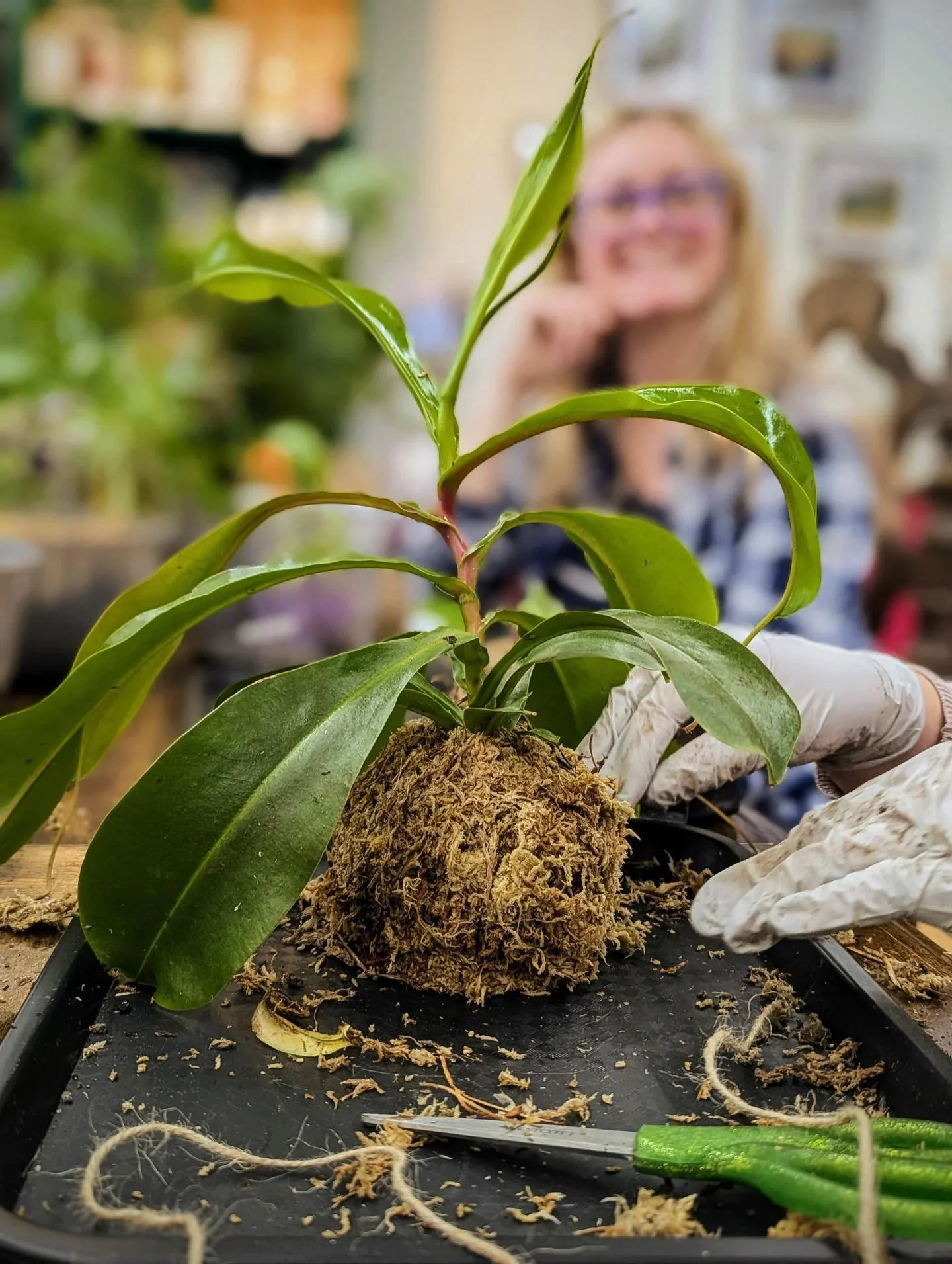 There are still spots available for the Kokedama Workshop next Friday the 13th at 6pm! ✨

Kokedama, a Japanese-inspired botanical art form, turns a simple plant into a sculptural living orb. You will create &amp; take home your own moss-wrapped plant