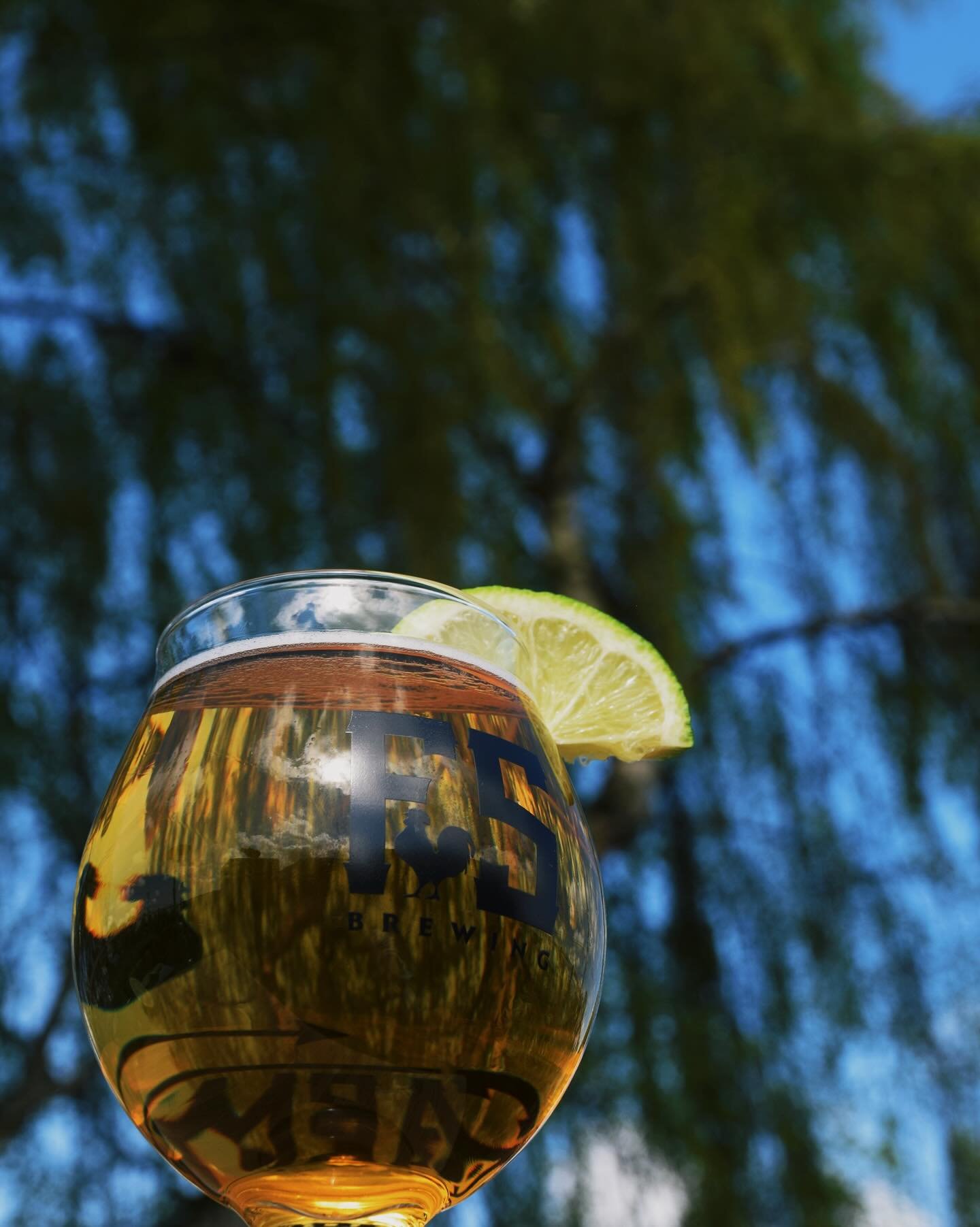 Our Farmstrong Flavor of the Week: Lime Pilsner 🍋&zwj;🟩

This week our classic Skagit Pilsner gets a subtle hit of juicy and tangy lime - a perfect patio sipper 🌞 As always, there is just a small amount made of our weekly flavor, so come grab a pi