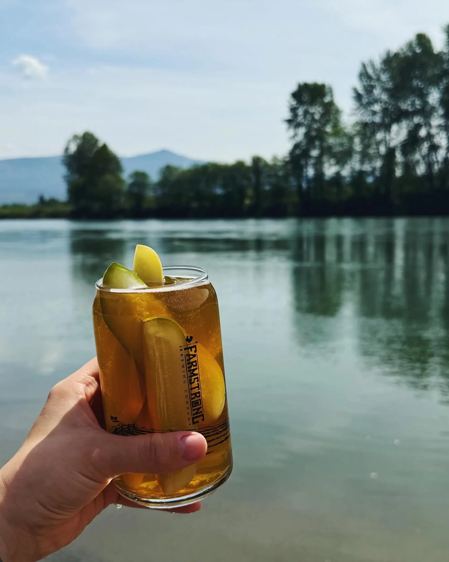 Our Farmstrong Flavor of the Week: Pickle Blonde 🥒

The delicious fan-favorite is back! This beer is a juicy, tangy and refreshing twist on our Palomino Blonde - truly a pickle-lovers dream! This one will go fast, so get it while you can! We are ope