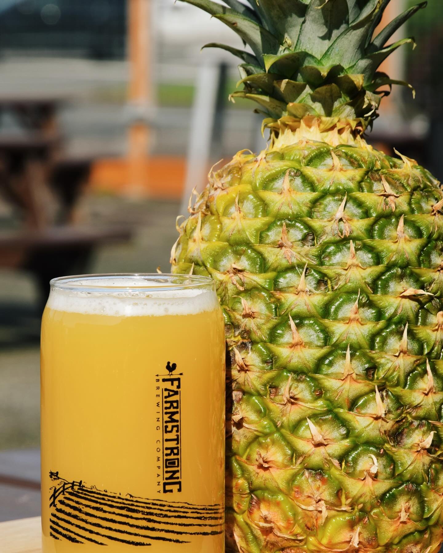 Happy Friday! Our Flavor of the Week is: Pineapple Pontoon 🍍

It&rsquo;s back 😍 This juicy &amp; refreshing twist on our Pontoon Pale Ale is like sunshine in a glass! As always, we only make a limited amount of our special Friday beer, so come grab