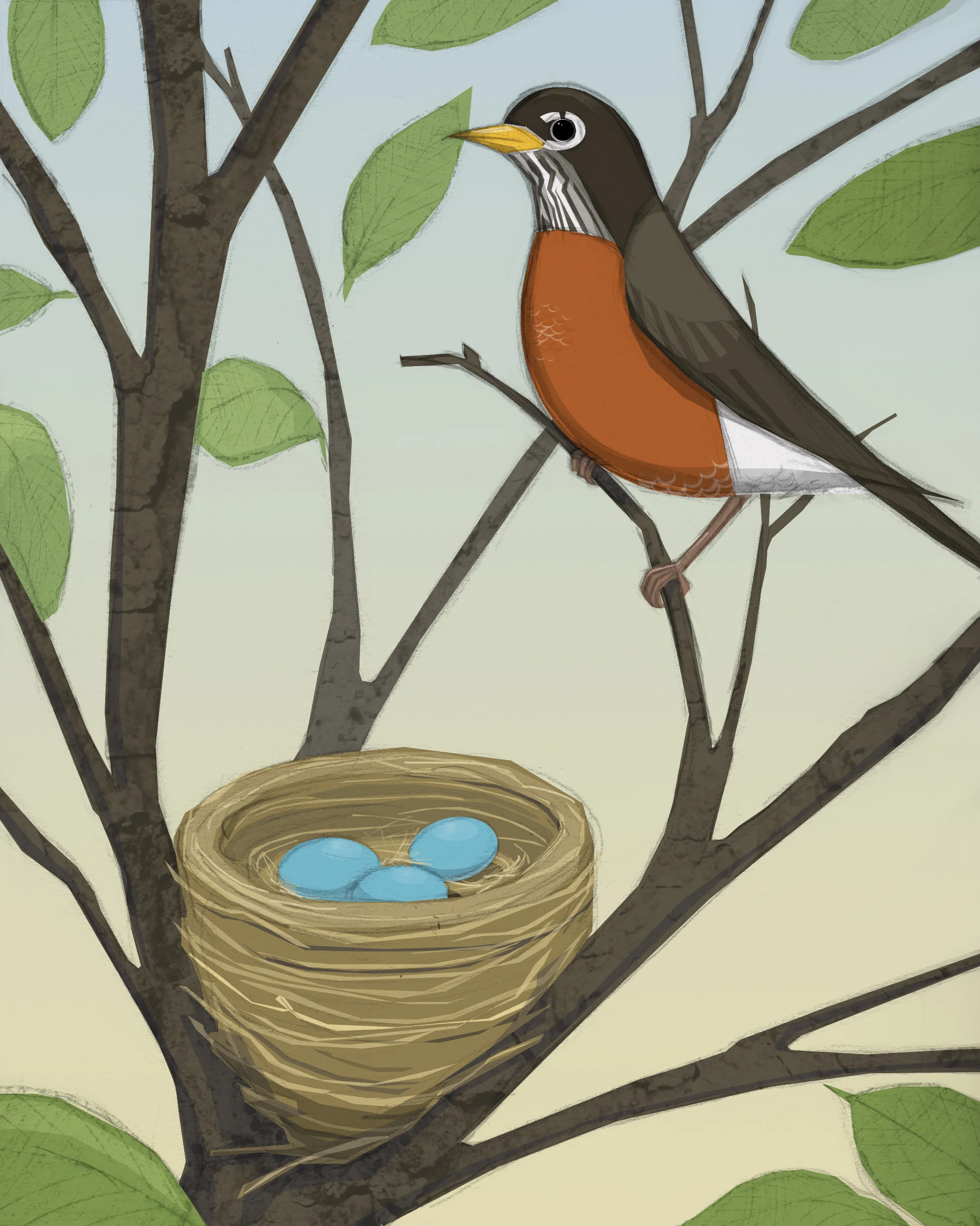 robin10Blog.jpg