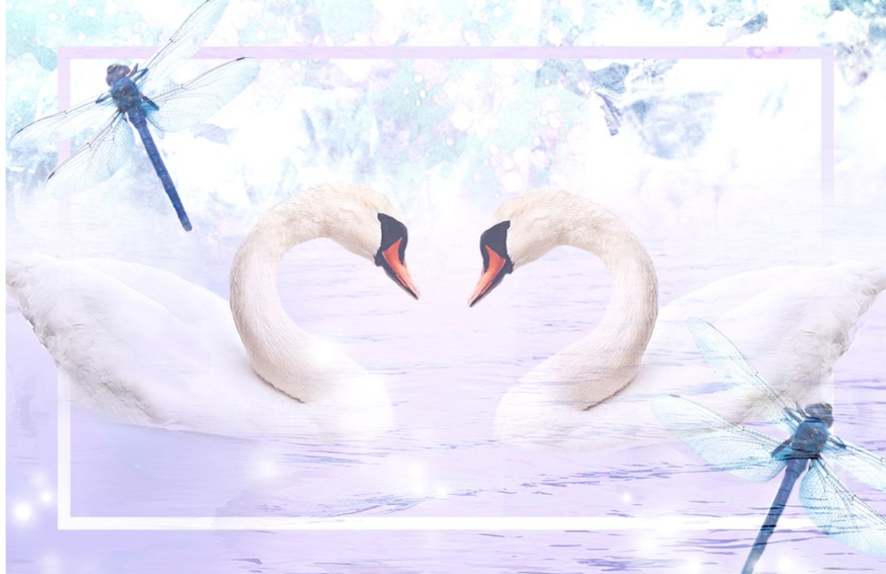 Your July energy forecast: *now* is the time to put dreams into action