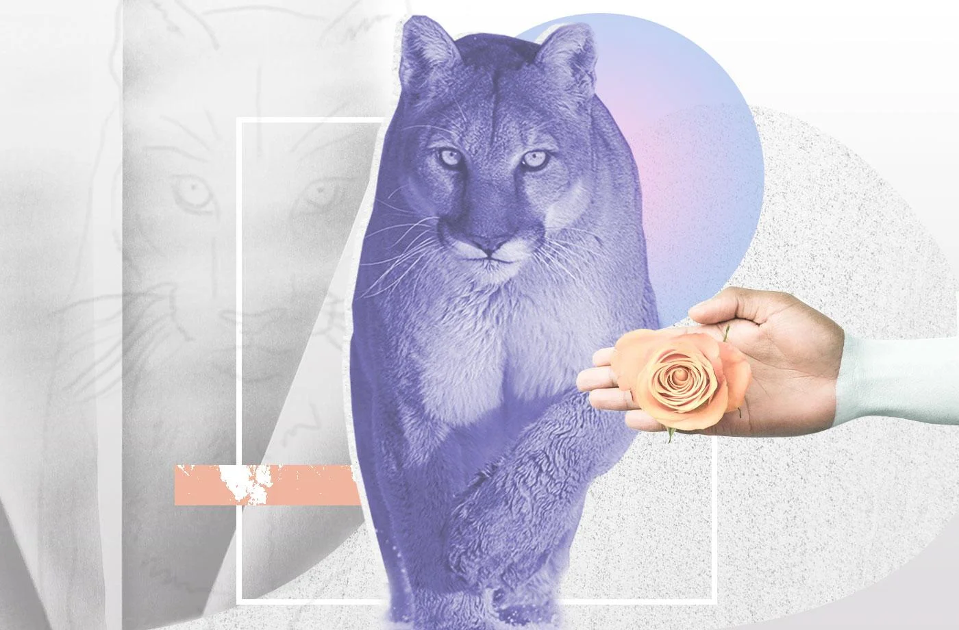 Your February energy forecast:  welcome to the era of warp-speed change