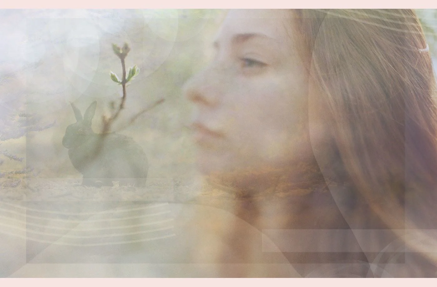 September:  Hop to meet the spirit animal that will help you let go of negativity