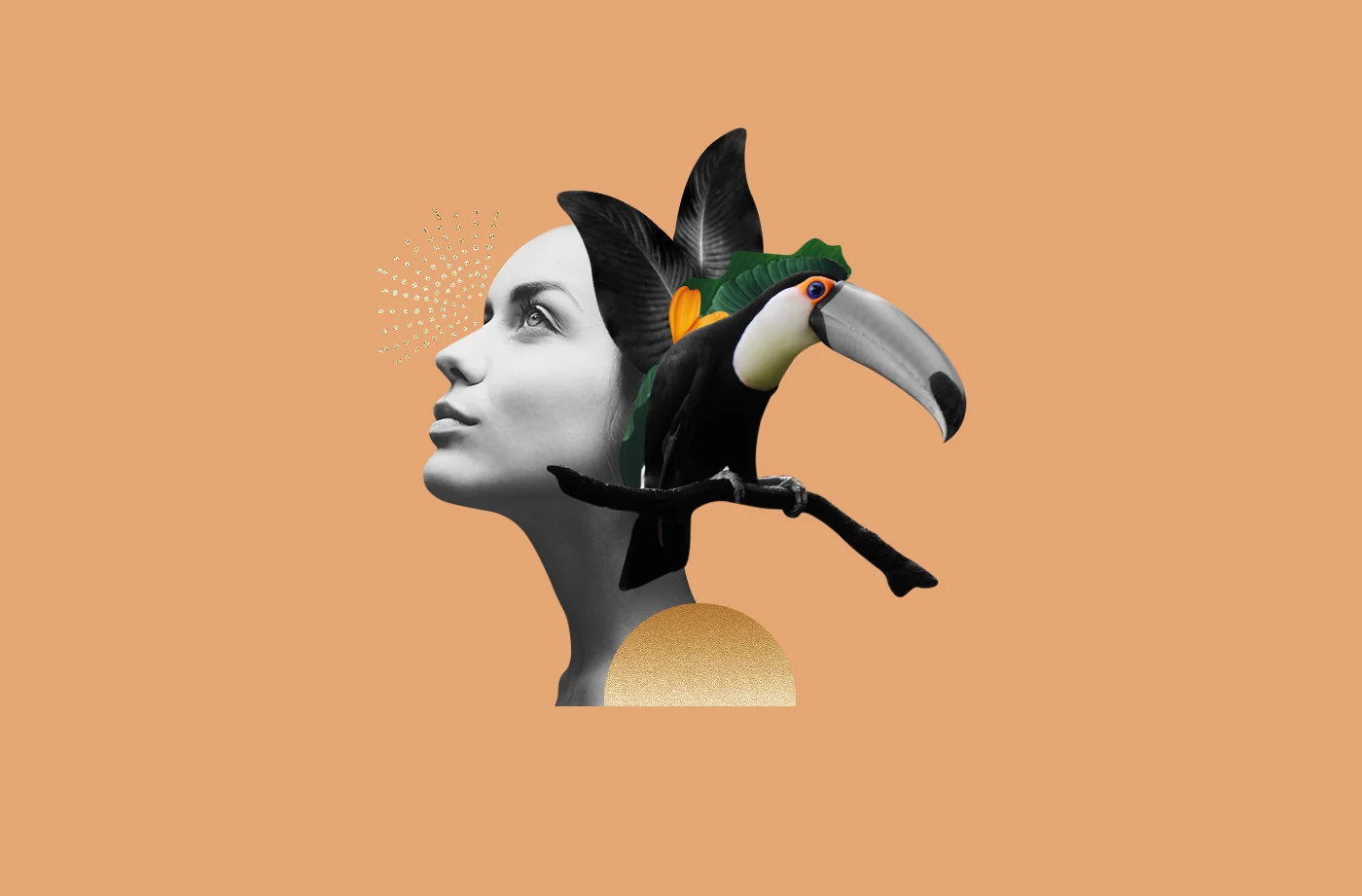 November: Why Toucan Medicine Will Transform Your Gray Days