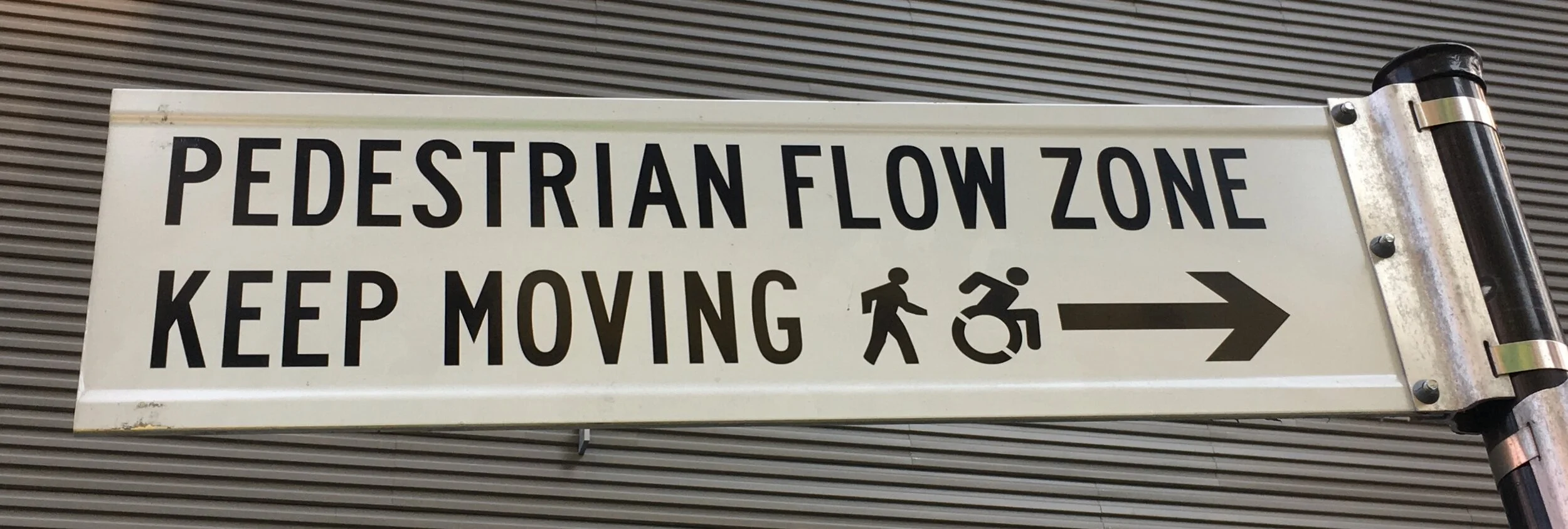 The micro-mobility craze has arrived!